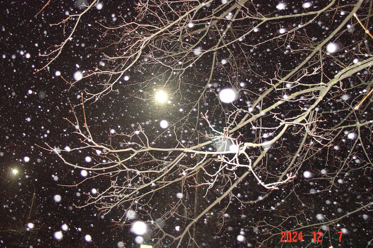 свет уличного фонаря - fogmeadowww m