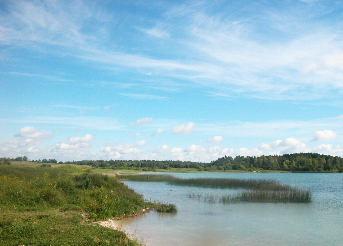 Утро... - Наталья Лунева 