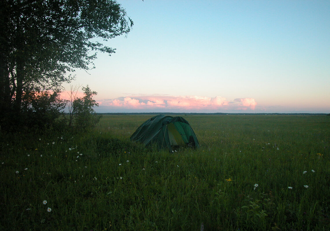 Тихая летняя ночь... - Наталья Лунева 