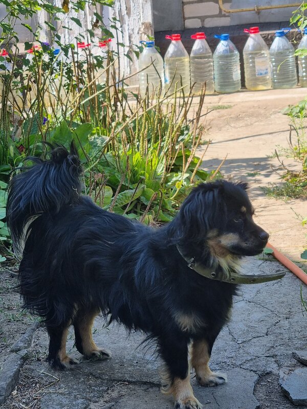 Пристальный взгляд :) - Наталья Пристальный взгляд :) - Наталья