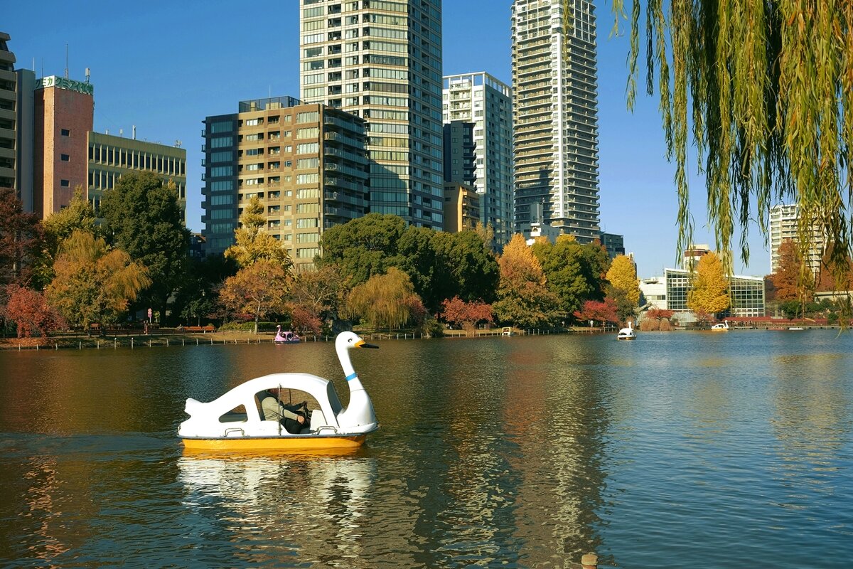 Токио, катание на лебедях - Civetta ***