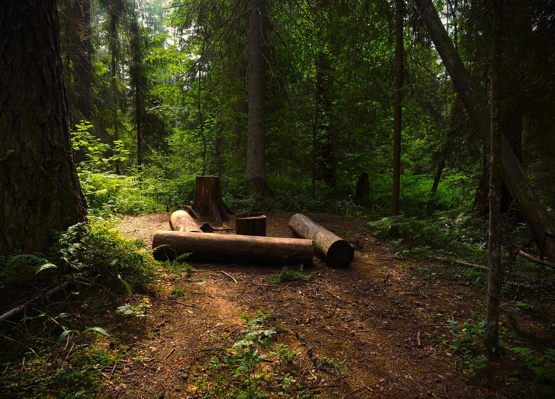 Медведи ушли гулять - Магомед .
