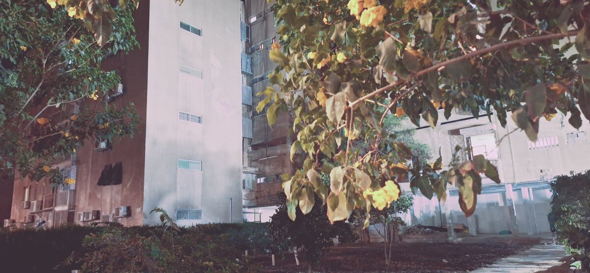 13  ОПЕН (251) - OPEN WAYS ALL