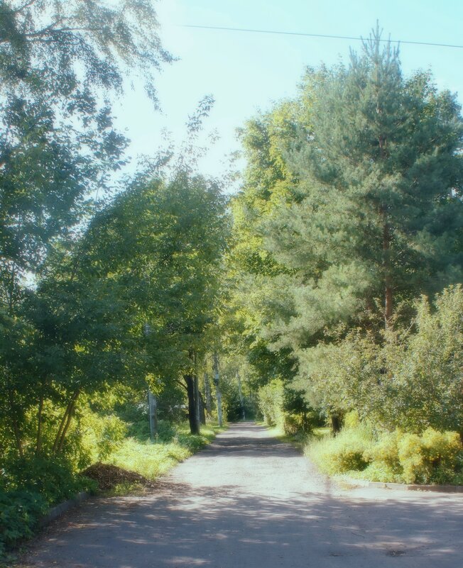 Загорянка - Леонид leo