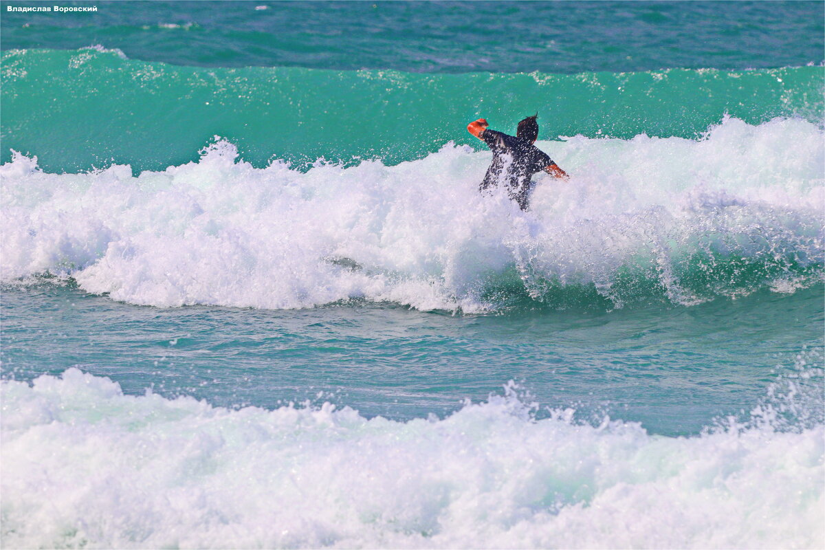 Спорт - Владислав Воровский 