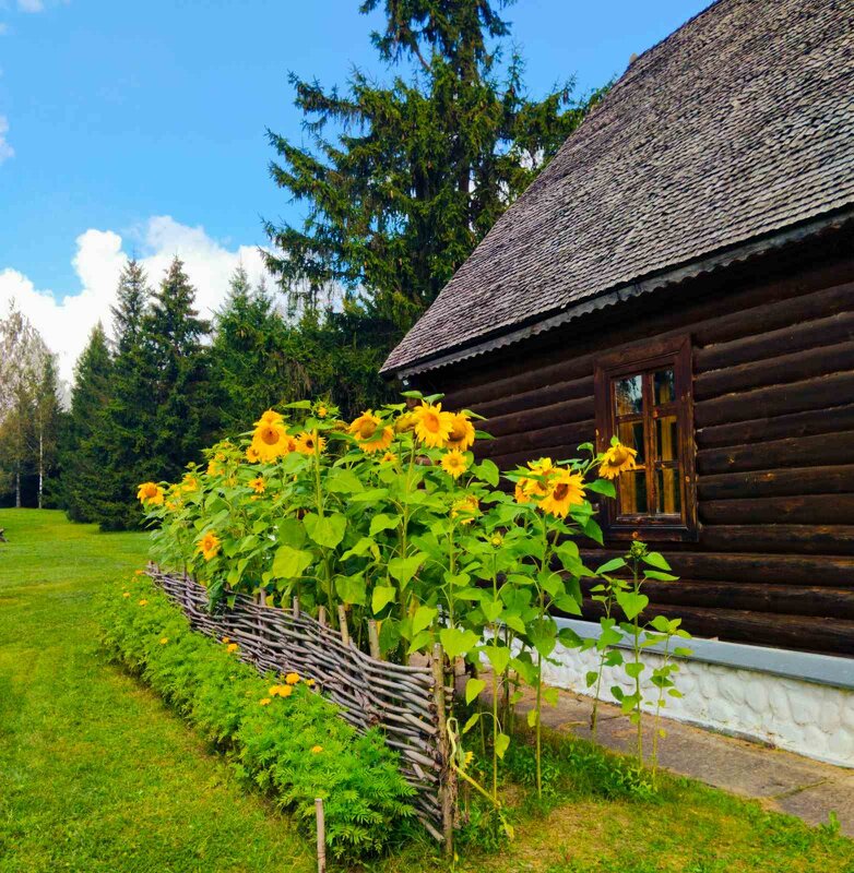 Пастораль - Галина Бобкина