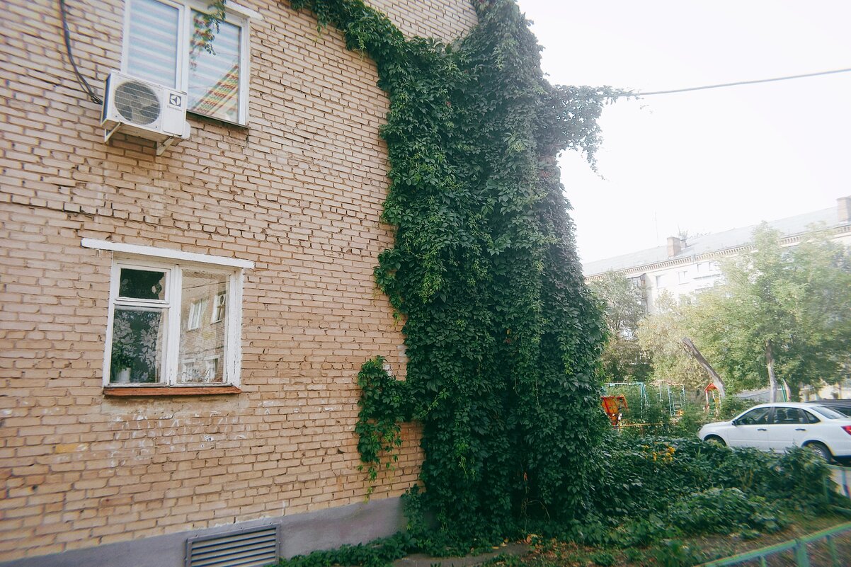 Боевая позиция лета. - Игорь Солдаткин