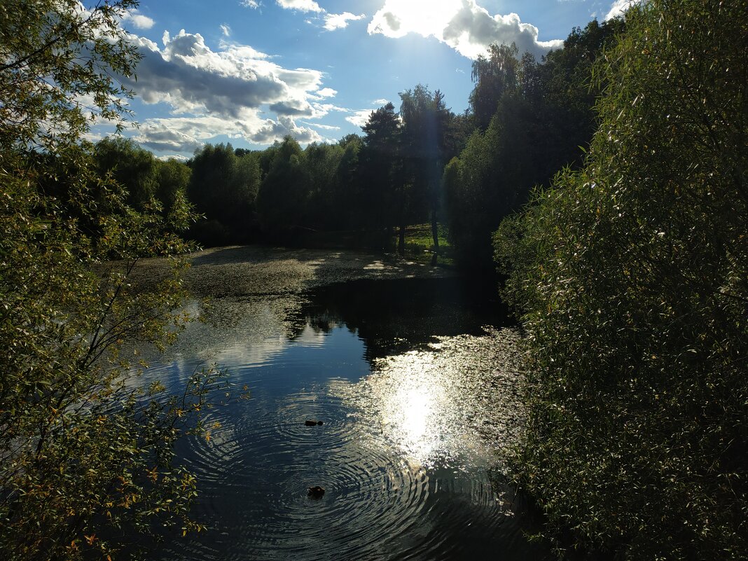 Лета - на донышке :-( - Андрей Лукьянов