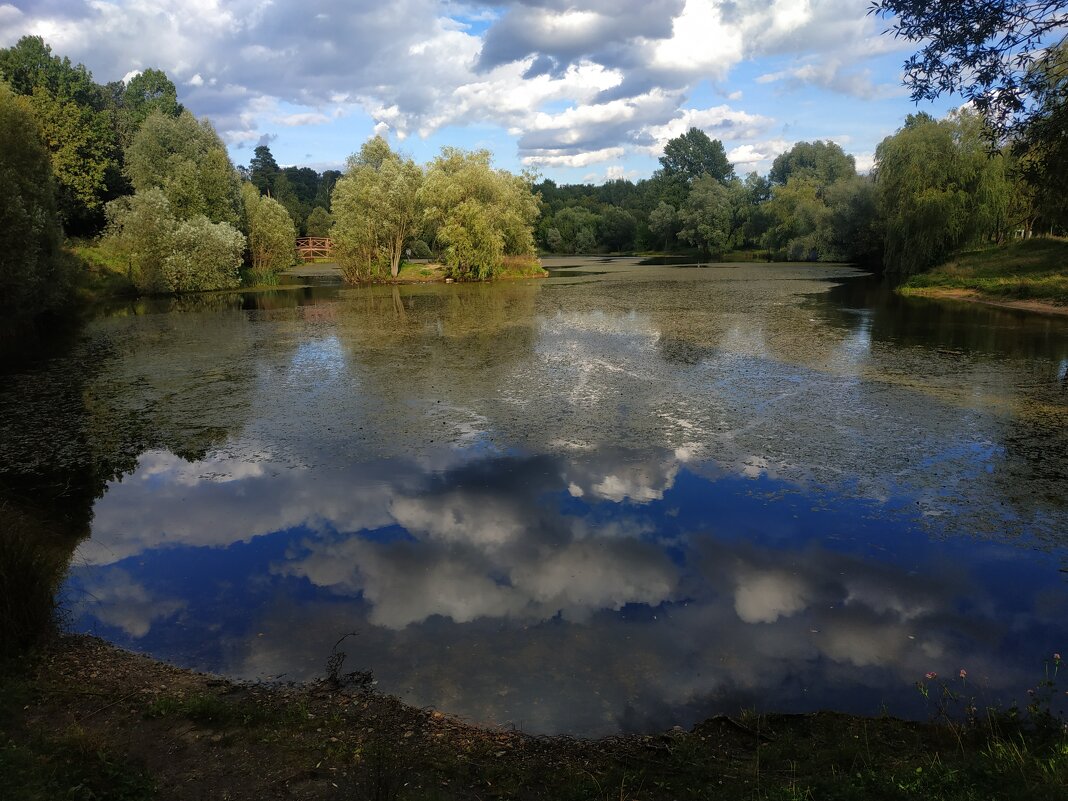 Лета - на донышке :-( - Андрей Лукьянов