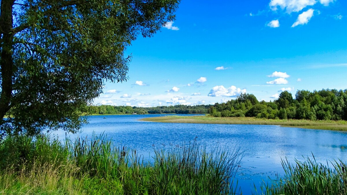 Моя Смоленщина. - Милешкин Владимир Алексеевич 