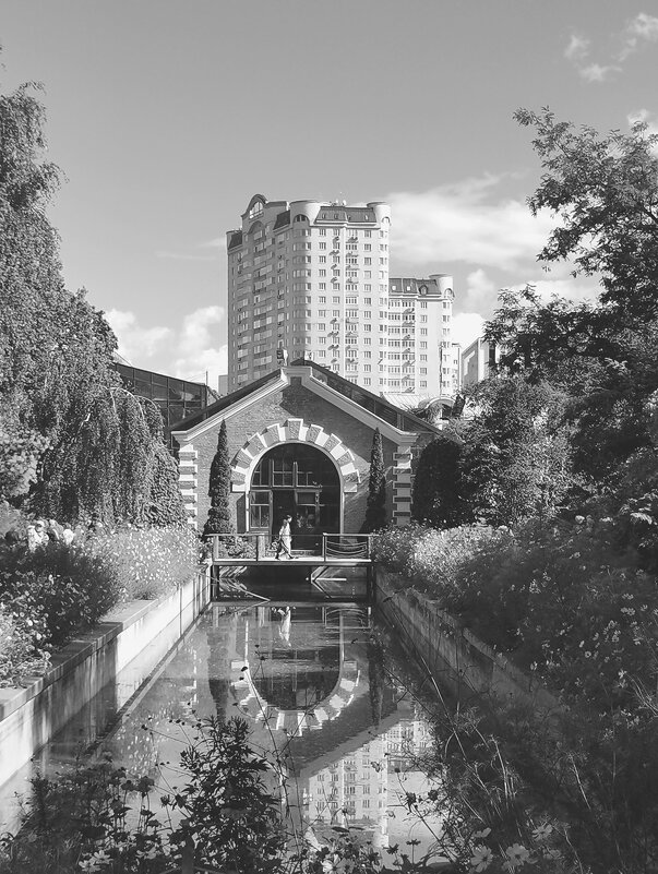"Аптекарский огород", Москва. Черно-белая фотография - Любимова Ольга 