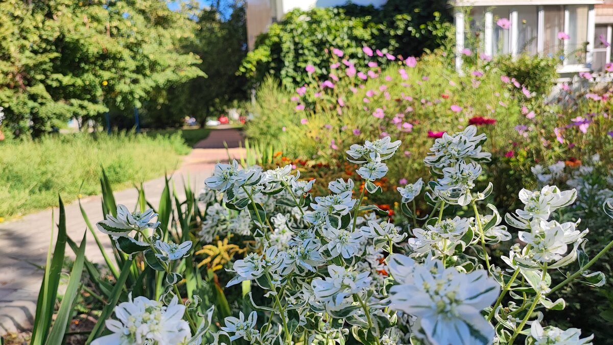 ,,, - Сергей Тимоновский