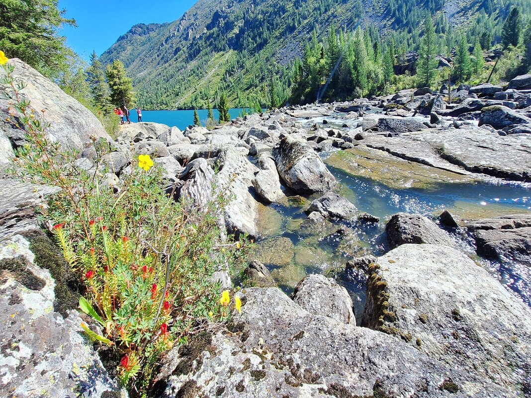 Алтай - Андрей Л. В.