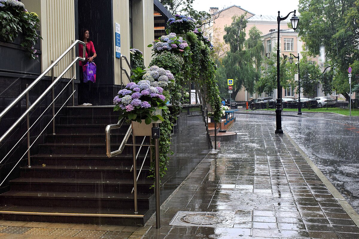 Эти летние дожди. - Татьяна Помогалова