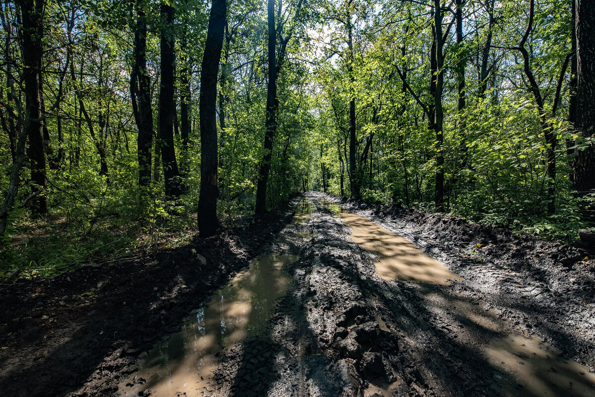 Эх, дороги... - Андрей Анатольевич Жуков