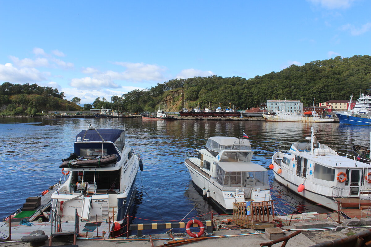 в порту Петропавловска Камчатского в августе - Александр Белов