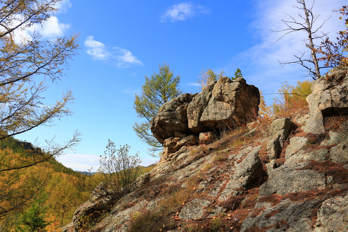 *** - Мишель71 