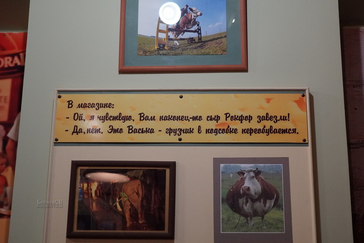 Сырный юмор - Сергей Беляев