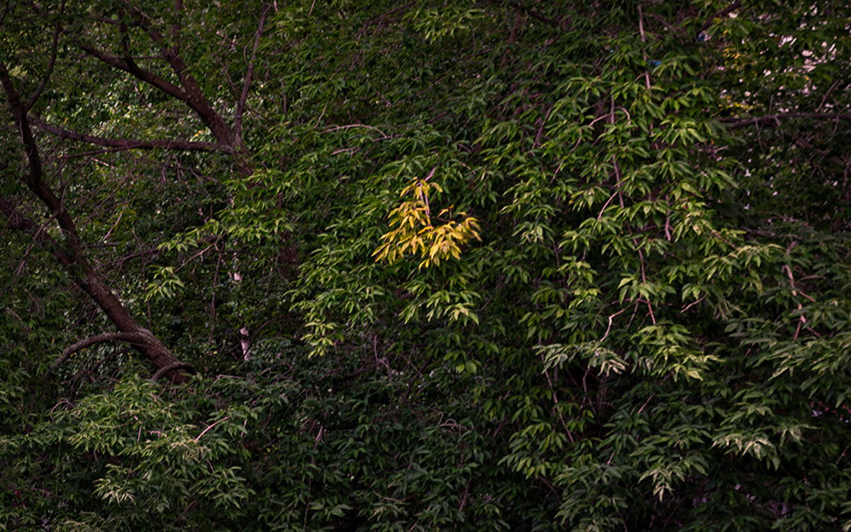 Всему свой час... - Людмила Фил