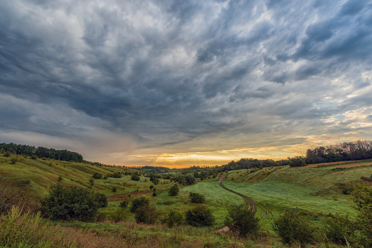 посреди балки - Виталий Емельянов