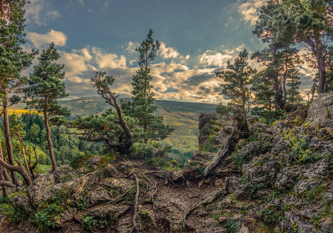 *** - Аnatoly Gaponenko