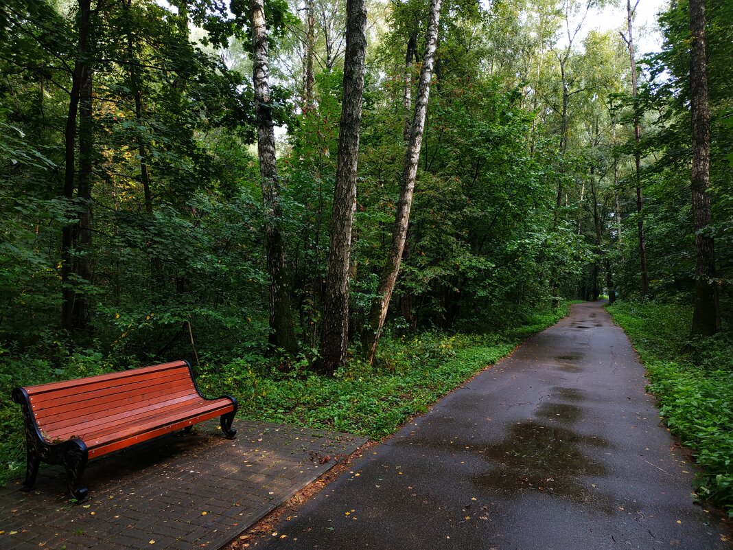 Лета совсем на донышке - Андрей Лукьянов
