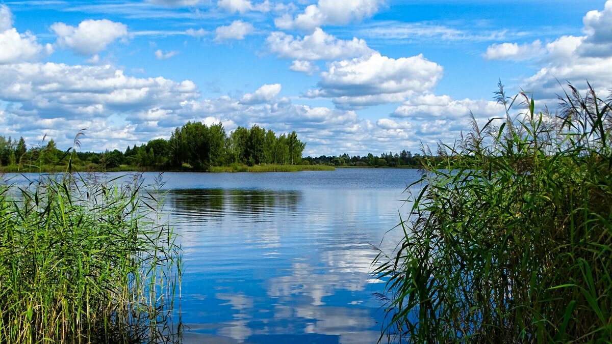 Про озёра - Милешкин Владимир Алексеевич 