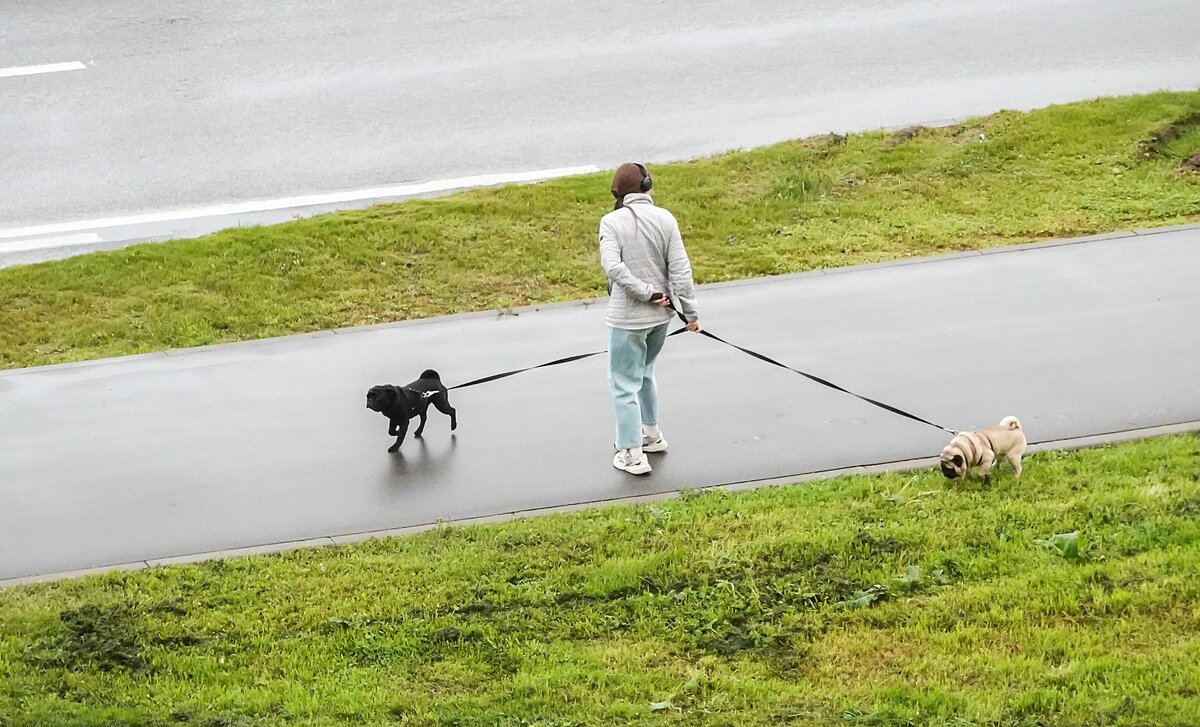 Запутались - Валерий Иванович