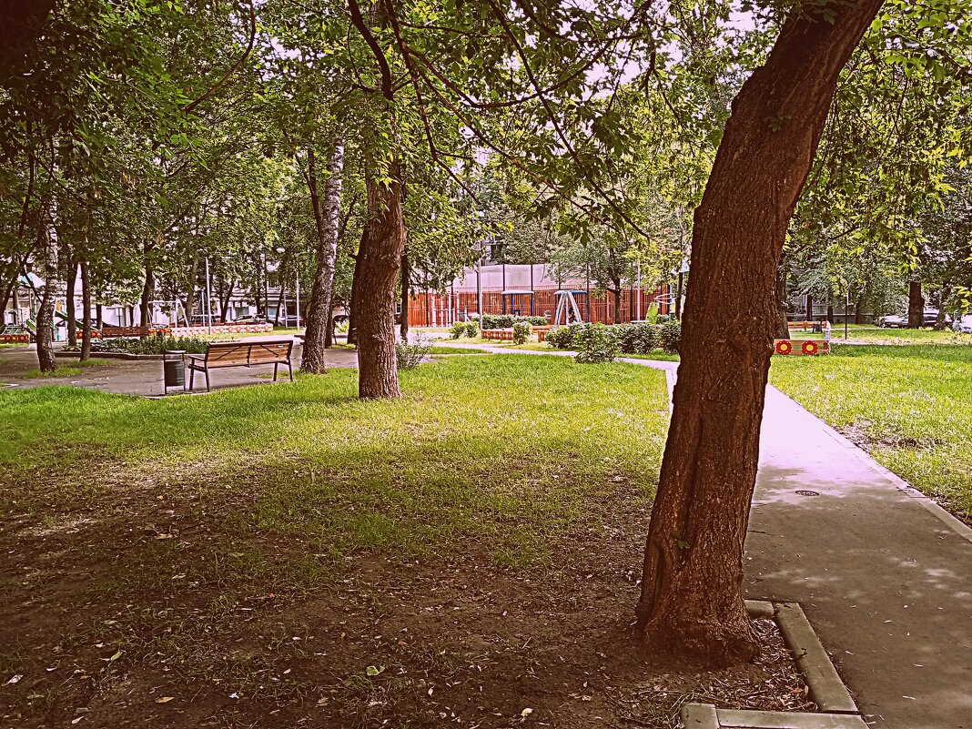 Мой двор. - Владимир Драгунский Мой двор. - Владимир Драгунский