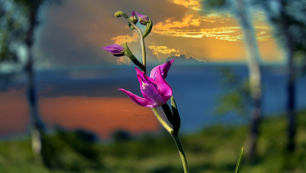 Вечер на Волге. - Анатолий Уткин