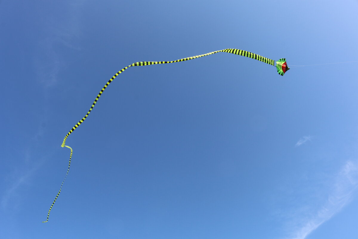 О мирных небесах - Ольга 