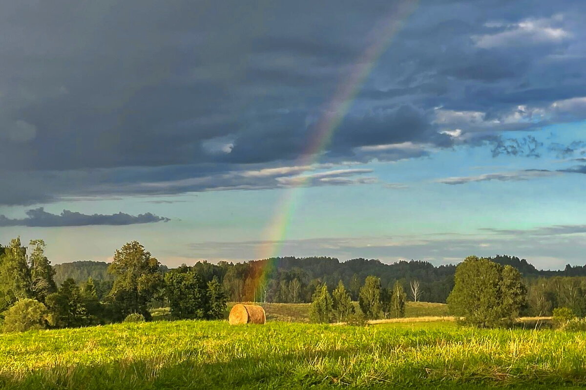 Summer 2025 11 - Arturs Ancans Summer 2025 11 - Arturs Ancans