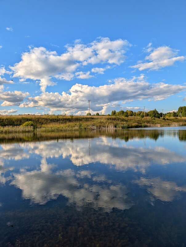 Солнечный денёк августа - Анастасия Логинова