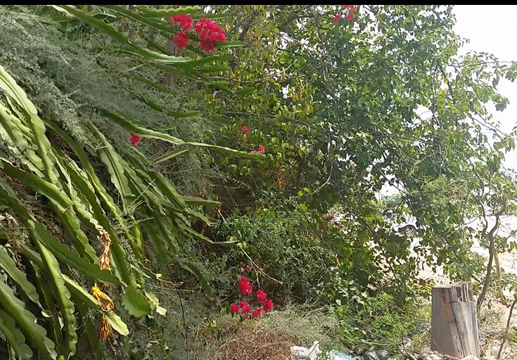 113 (28) - CLOSE WAYS ALL