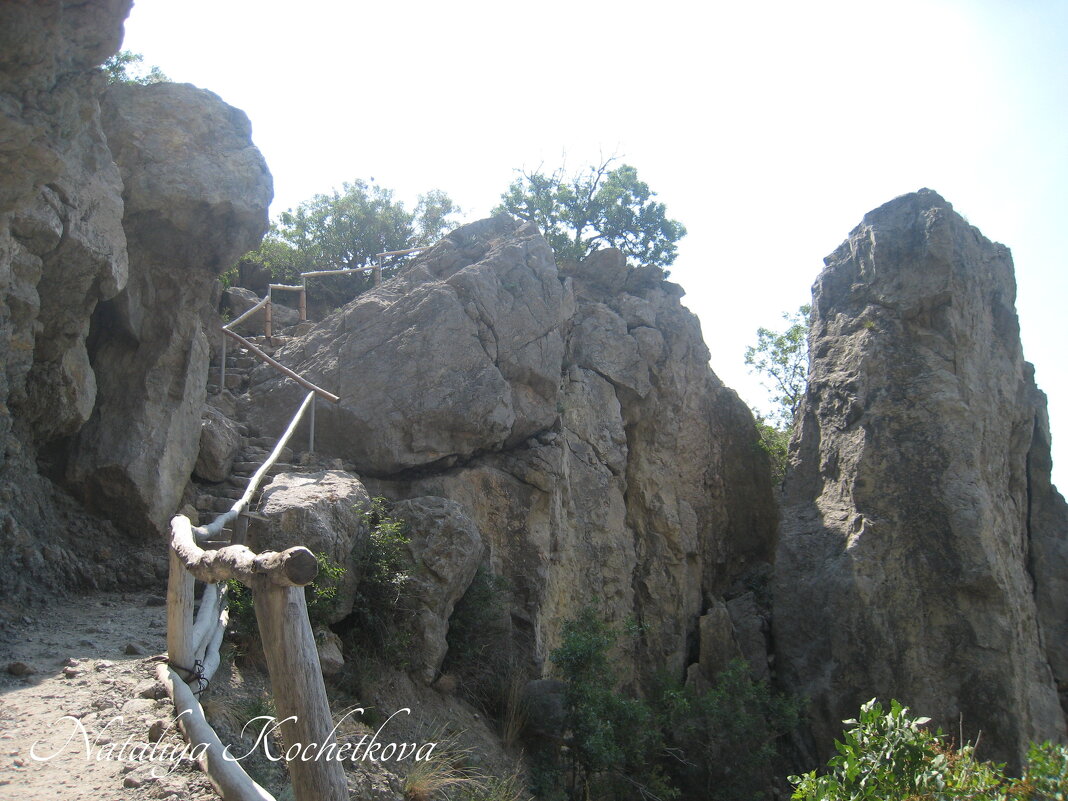 Природа Крыма - Amazing Cosmea
