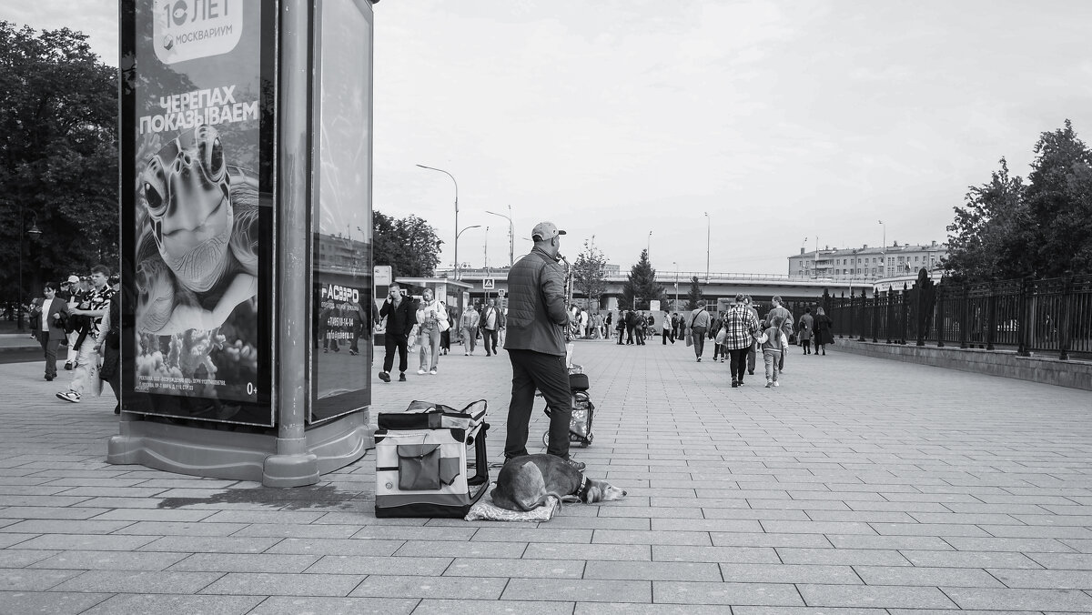 Городская Зарисовка - юрий поляков