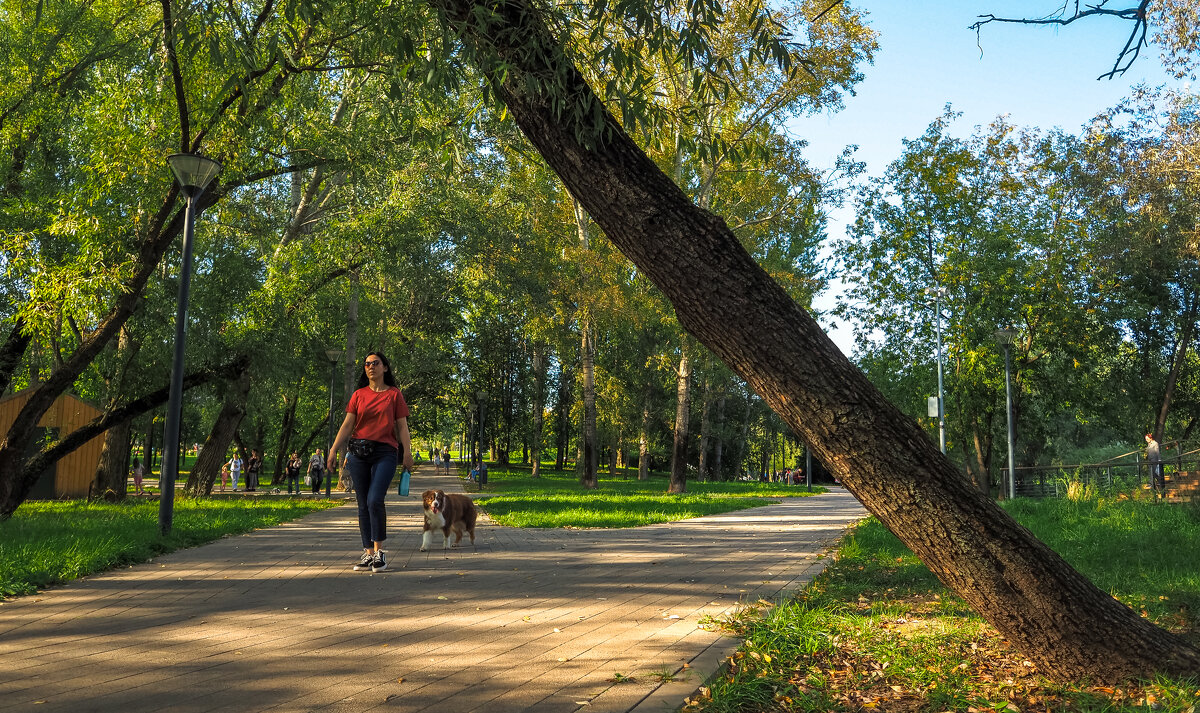 Прогулки в Летнем Парке - юрий поляков Прогулки в Летнем Парке - юрий поляков