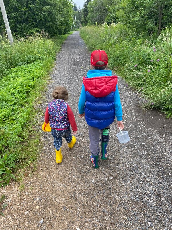 По ягодки - Ольга Лебедева (Беловласова)