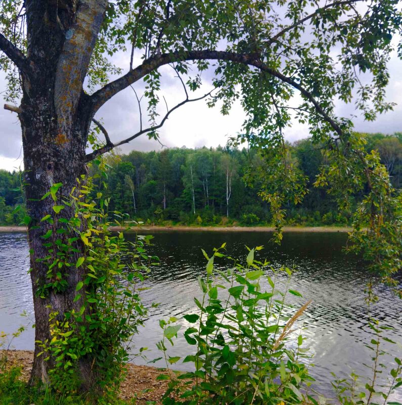 Пейзаж - Галина Бобкина