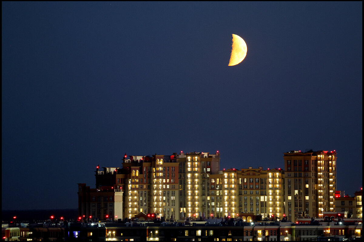 1001 - Сергей Премонишын