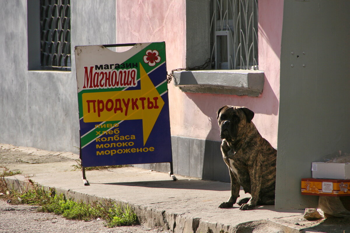 Ну ты заходи ,если что... ))) - Всеволод 