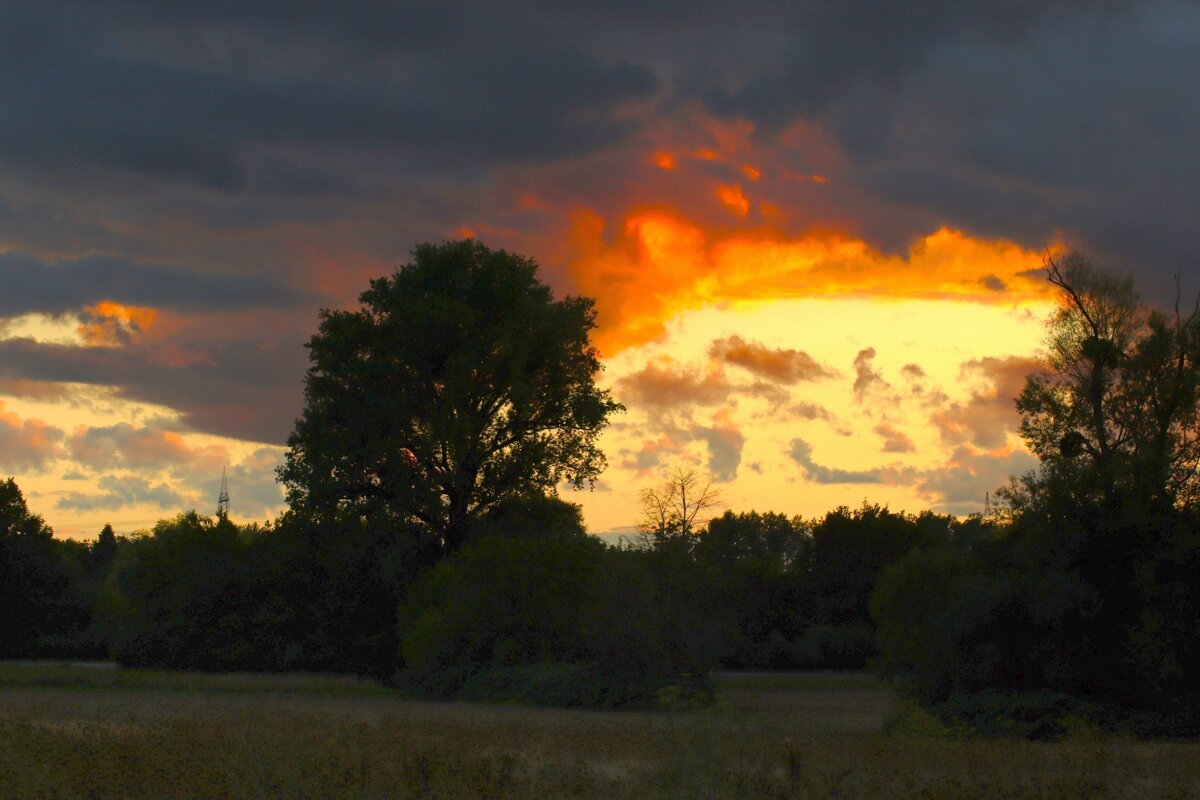 Небо августа - Юрий. Шмаков