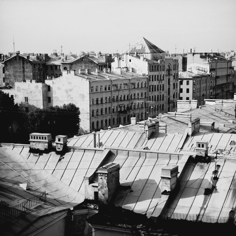 Петербургские крыши - Виталий Потапкин