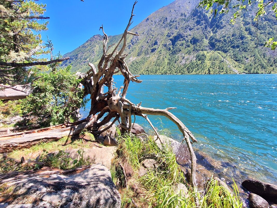 Алтай - Андрей Л. В.