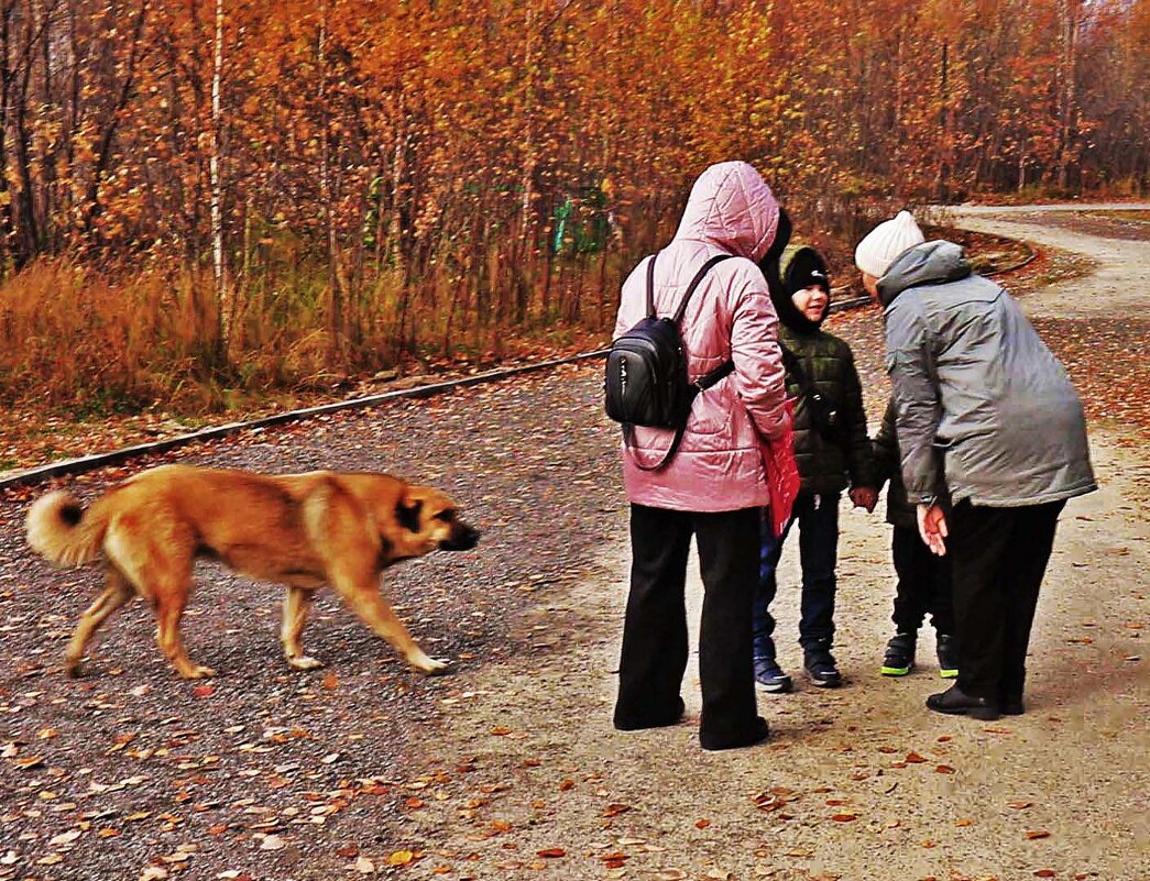 Сентябрь...Веселая компания в загородном парке! - Владимир 