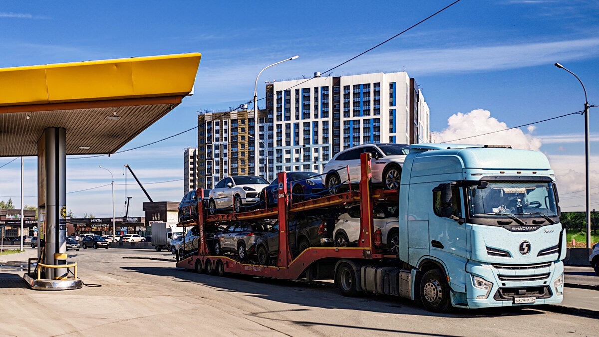 Перевозчик - Dmitry i Mary S