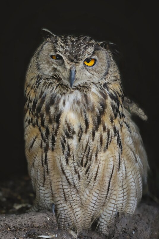 Устала - Овсечук Мария 