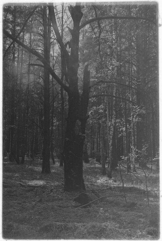 №18 - Alex Bes №18 - Alex Bes