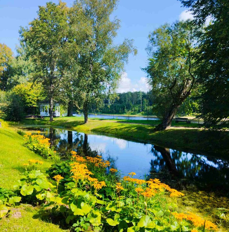 Здравнёво - Галина Бобкина