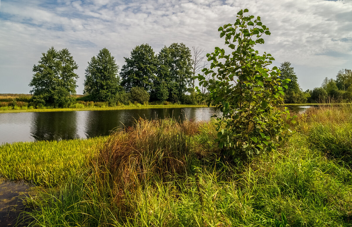 На исходе лета 2 - Андрей Дворников